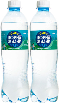 Вода Норма Жизни газированная