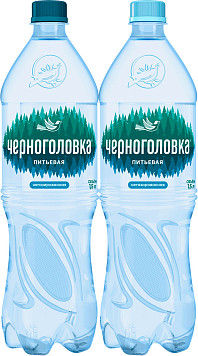Вода Черноголовка негазированная