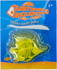 Набор Анатомик дискавери раскопки со слаймом