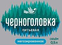 Вода Черноголовка негазированная