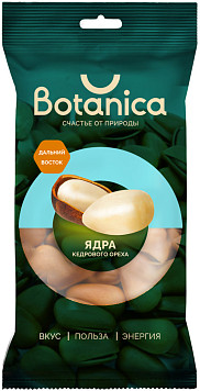 Кедровый орех Ботаника