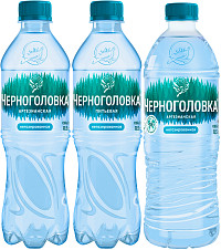 Вода Черноголовка негазированная