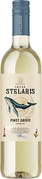 Вино П.В.С.& Б Стеларис Пино Гриджио белое сухое