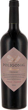 Вино Полигонал Сира Таннат Резерва красное сухое