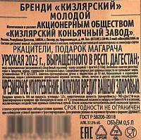Бренди Кизлярский Молодой