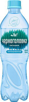 Вода Черноголовка негазированная