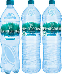 Вода Черноголовка негазированная