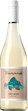 Вино Бьенвенидо Пино Гриджио белое сухое