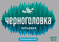 Вода Черноголовка негазированная